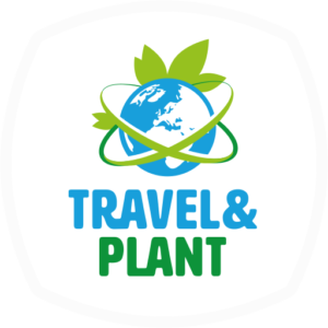 TRAVEL & PLANT